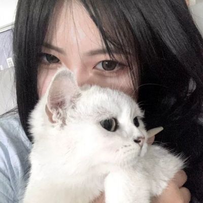 消星星游戏免费版下载